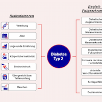 Diagram illustrating risk factors and complications associated with Type 2 Diabetes. On the left, risk factors include genetic predisposition, age, unhealthy diet, physical inactivity, high blood pressure, overweight/waist circumference, and smoking. On the right, complications include diabetic eye disease, kidney disease, nerve damage, foot syndrome, coronary heart disease, arterial occlusive disease, strokes, and depression. 'Diabetes Typ 2' is highlighted in the center as the connection between the factors.